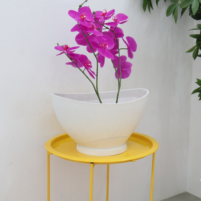 모두다 플랜트 화분 바운스라인, 1개, 플랜트바운스