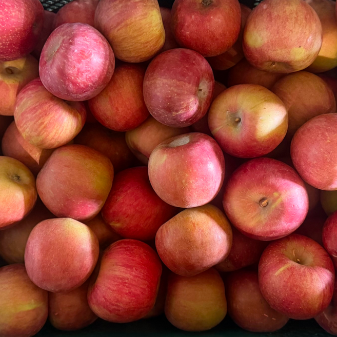 [초고당도] 경북 부사 사과 가정용 A급 부사사과, 1개, 2kg
