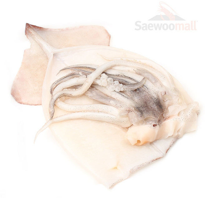 새우몰 손질오징어 1마리(냉동), 1개, 1미 200-250g내외