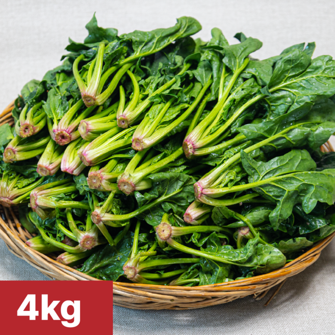 [여수 청년농부] 당일제조 국내산 여수 시금치, 1개, 4kg