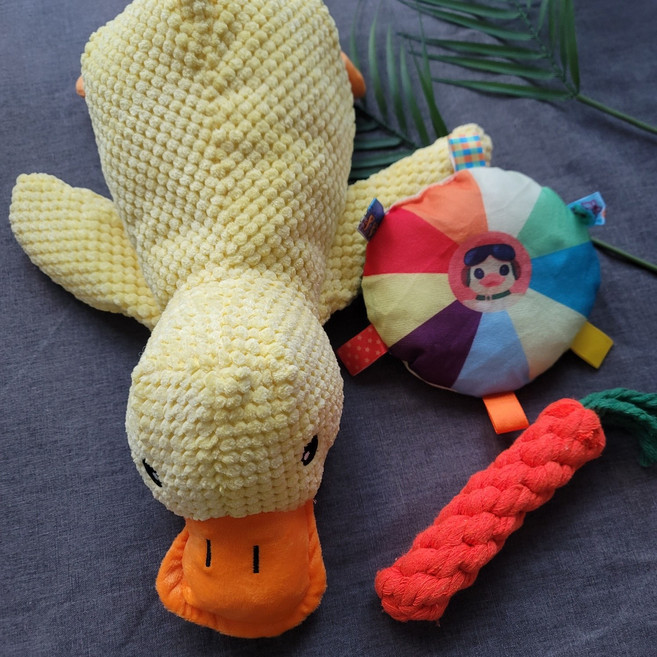 반려동물 강아지 고양이 애착 삑삑이 오리인형 터그놀이 3종, 1세트, C. 노란꽥꽥이