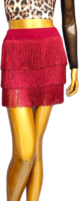 라틴 라인 댄스복 라틴 댄스 스커트연습 의류 여성 성인 스커트 술 스커트 하의 경쟁 댄스 공연 의류, 4XL 버건디 플랫 스커트, 버건디 플랫 스커트