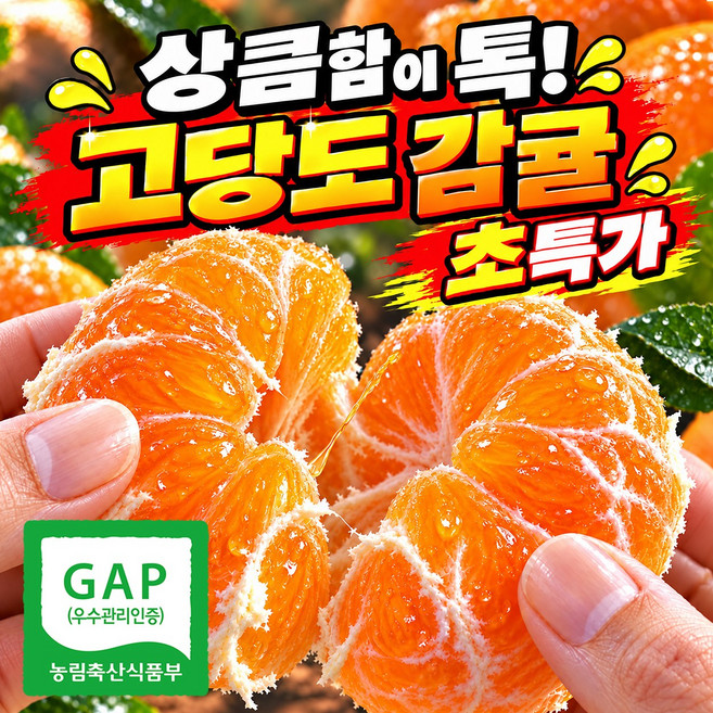 [재 구매 1위] 제주 귤 감귤 고당도 노지, 1박스, 5kg (중대과)