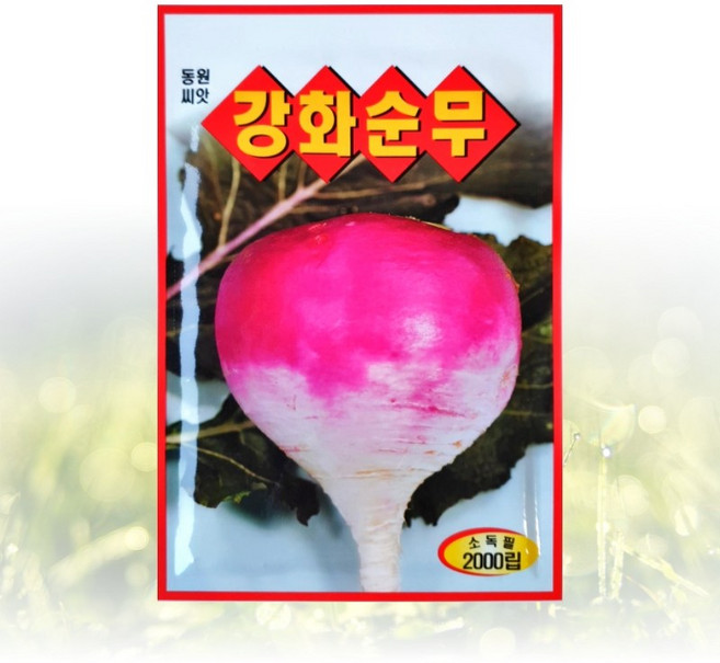 농사친구 강화순무 씨앗 2000립 동원 씨 종자 쪽파 고사리 명이나물 산상추 초당옥수수 항암배추 담배 산마늘 아스파라거스 고수, 1개