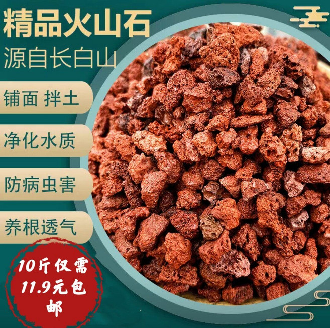 火山石顆粒 蘭花多肉盆栽專用水族岩石土 鋪面墊底, 如圖所示, 1個