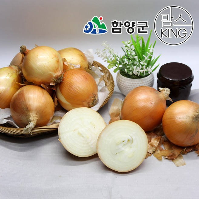 [함양군]함양농협 농산물 산지유통센타 국내산 조생종 햇양파 10kg, 1박스