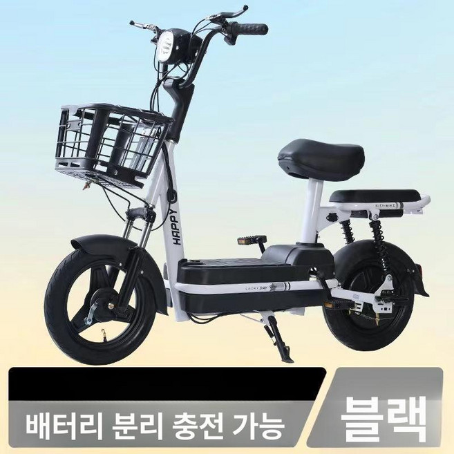 출퇴근 2인용 전기자전거 사계절 자토바이 팻바이크 성인용 세발 삼륜 동반, 48v, 12ah