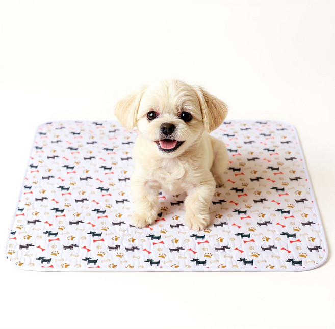 아임펫벳 세척가능배변매트 방수 펫 강아지배변패드, 1개, 화이트