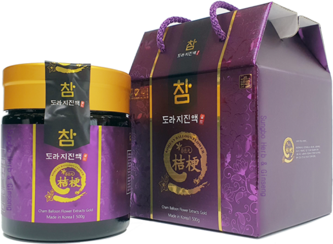 참도라지진액골드 500g 도라지청 효능 도라지진액 보덕식품, 2개, 1개입