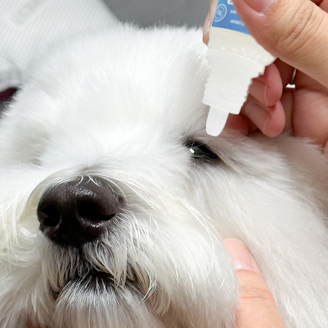 두카메디 셀케어 반려동물 전용 인공눈물 아이드롭 강아지 고양이 눈곱 이물질 보습 충전 데일리 케어, 1개, 10ml