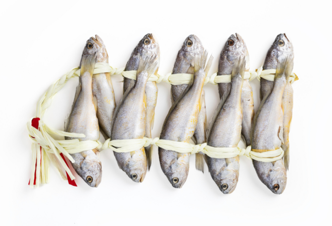 국내산 영광 법성포 굴비 명절 선물세트, 1개, 950g