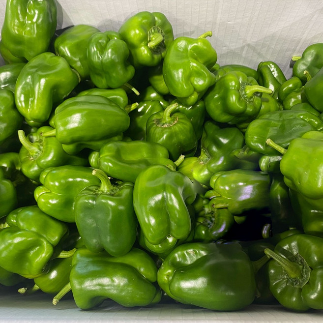 국내산 피망 청피망 5kg, 1개