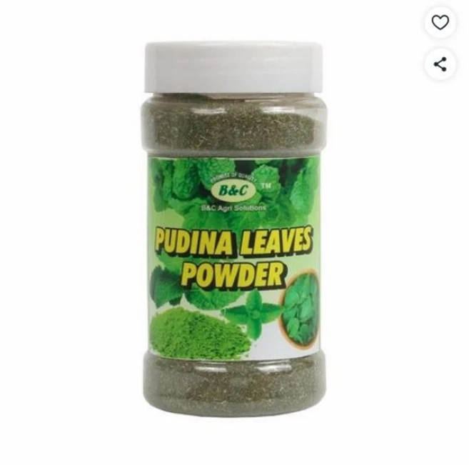 인도 B & C Agri Solutions 푸디나 파우더 신선한 민트 잎 분말 건조 박하 푸디나 분말 75g (1팩), 1개 - 쿠팡