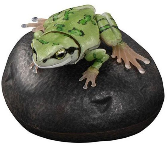 청개구리 가동 생물대도감 대도감 가챠 캡슐 캡슐토이, 2, 1개