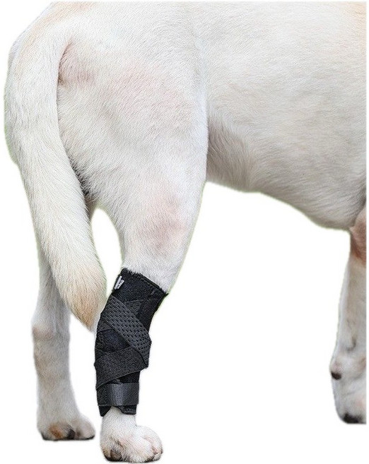 狗狗護膝 寵物關節保護套 可調節透氣護腿 運動防護 術後恢復 長筒-黑色護膝【內有軟金屬支架】, 長筒-黑色護膝【內有軟金屬支架】S/M, 1個