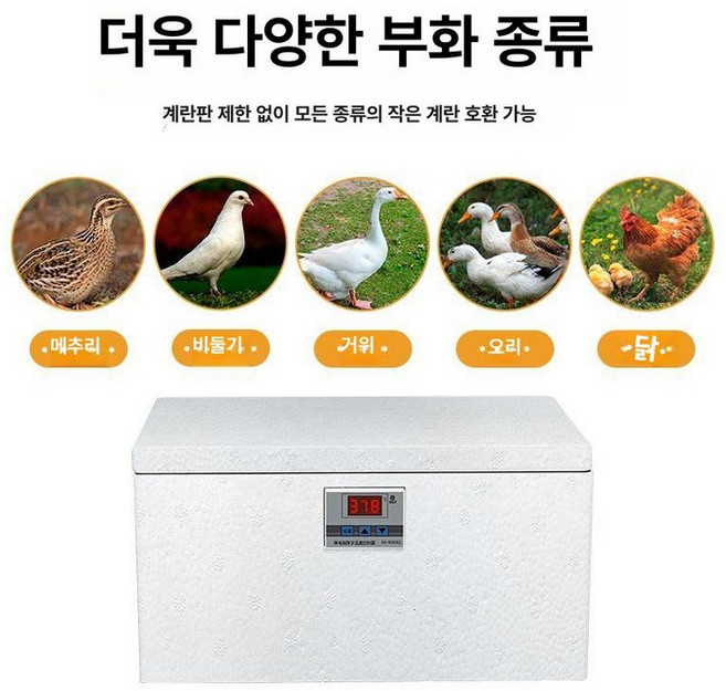 계란 부화기 자동 병아리 조류용 인큐베이터 메추리 회전, 1개, 10알
