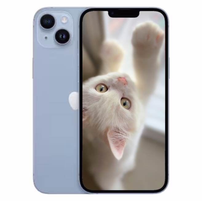 아E폰14 미개봉 새상품, 256GB, 아이폰 14 (블루)