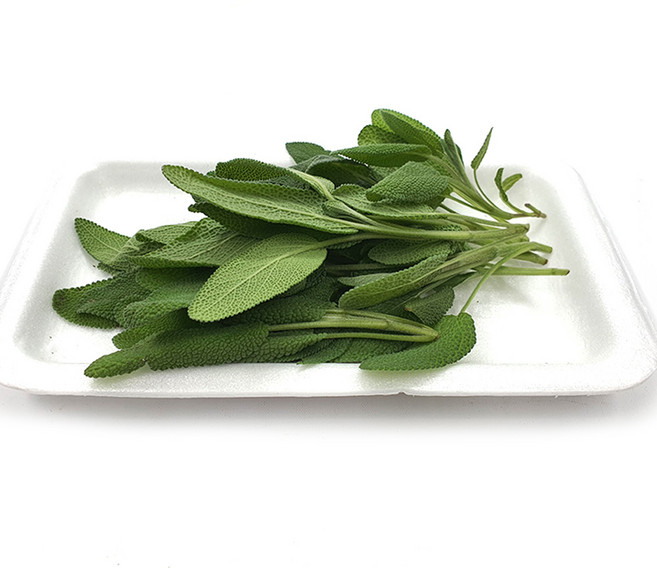 야채왕 세이지 1팩 허브 생잎, 10g, 1개, 세이지10g