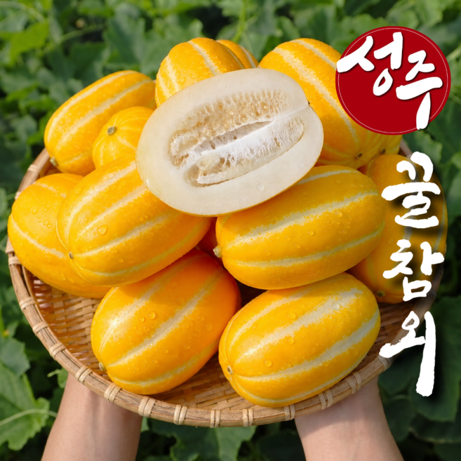 [한정수량] 초특가 고당도 꿀 성주 참외, 1박스, 10kg