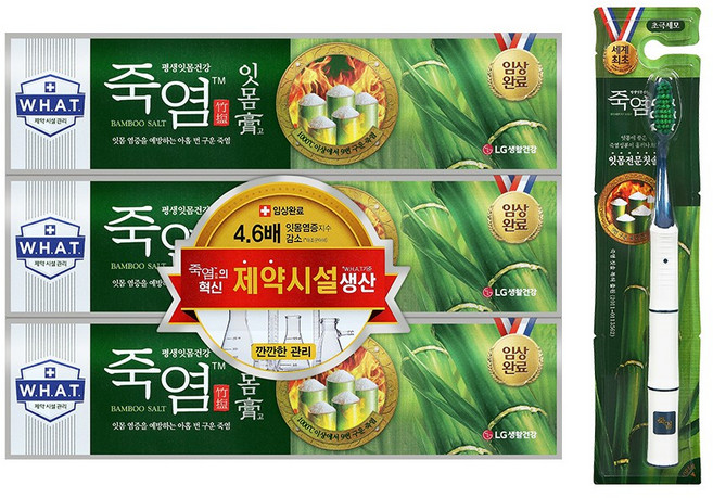 죽염 잇몸고 치약 120gX3+죽염칫솔1입, 120g, 1세트