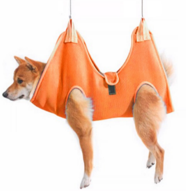 고냥냥 강아지 고양이 발톱 깎이 거치대, 주황, 1개