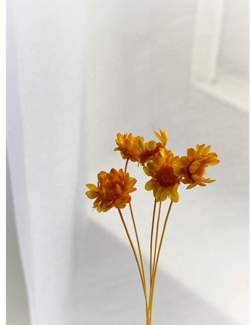 大地農園 迷你乾燥花材組 小星花小雛菊 DIY手工藝裝飾, 橘子橘,一入五朵