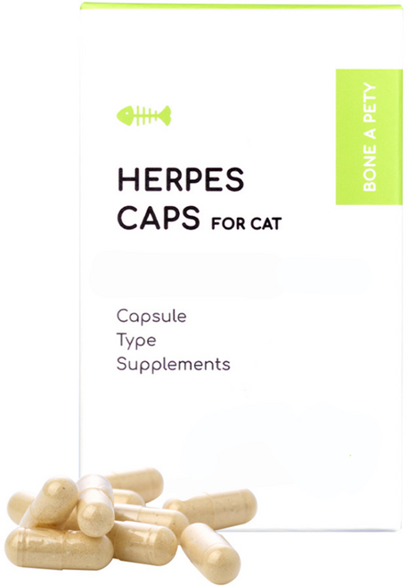 본아페티 고양이 캡슐 기능성 영양제, 60정, 호흡기/기관지, 1개