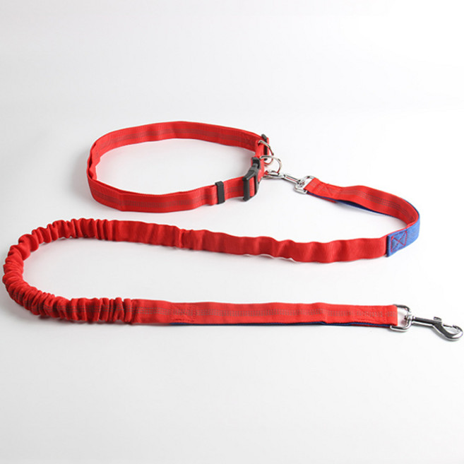 파스텔펫 핸즈프리 허리밴드 반려동물 리드줄세트, B타입, 1개