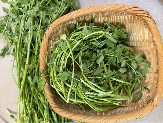 [노안농협] 국내산 세척 미나리 1kg, 1박스