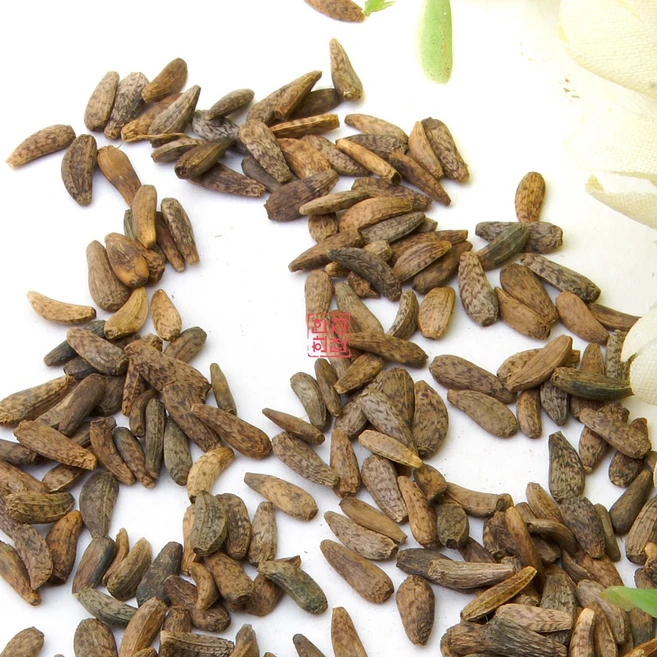 우방자 가루 우엉열매 분말 파우더, 100g, 1개, 1개입 - 쿠팡