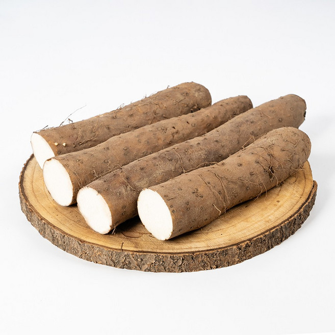 안동참마 고품질 장마 산마 영양만점 마, 안동 산마 (중품) 1kg, 1개