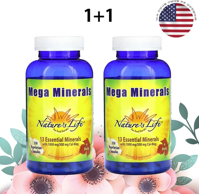 Nature's Life 메가 미네랄 13종 Mega Minerals, 2개, 250정 - 쿠팡