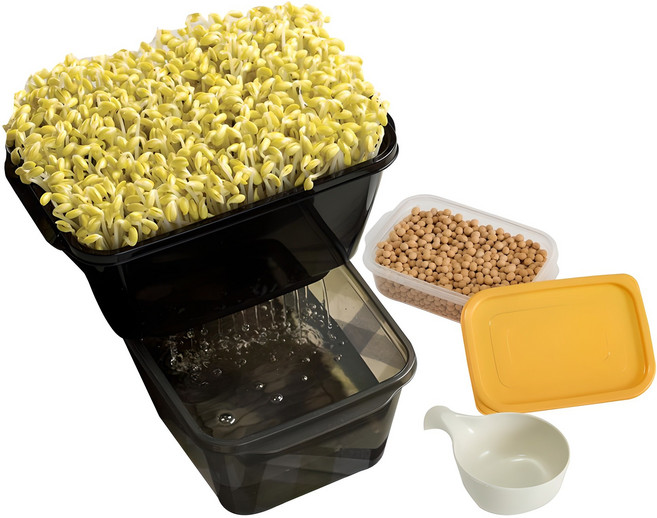 이지앤프리 콩 보관 시루컵 콩나물 재배 세트, 1세트, 재배도구 5p