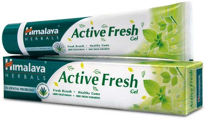 Himalaya 히말라야 Active Fresh Herbal Toothpaste (p/BOX) 치약 100g, 1개 - 쿠팡