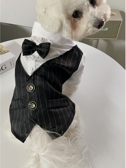 강아지옷 턱시도 정장 셀프 촬영 결혼식 고양이, 블랙, 1개