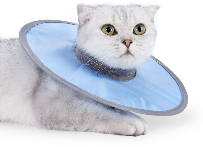 생활방수 반려동물 제로 강아지 고양이 넥카라, 1개