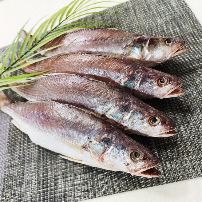 반건조 생선 민어조기 굴비 영상가이석태 제수용 특대생선 아이들반찬 구이 찜 선물용, 1세트, 27-29cm 4마리