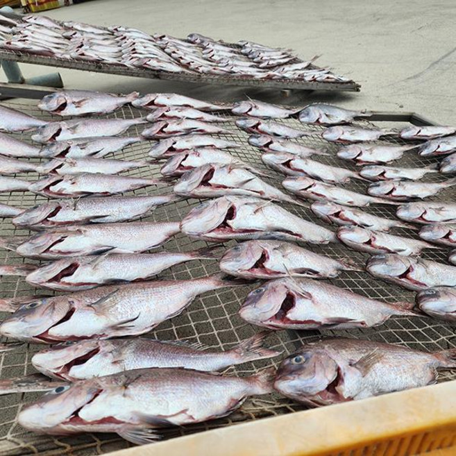 명신수산 반건조 자연산 손질 참돔1미(300g이하), 1개, 단품