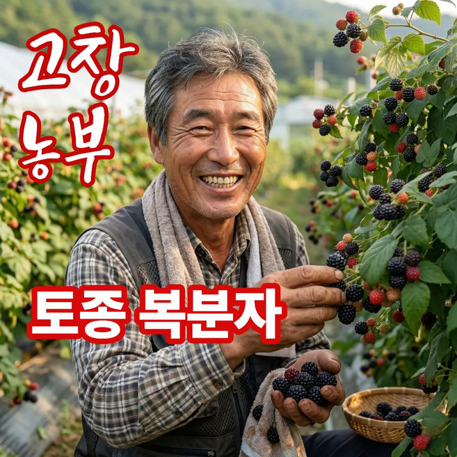 더맛곳간 국내산 고창 복분자 열매 냉동 토종복분자 농가직송, 1개, 10kg 특품