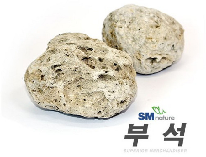 물에뜨는 돌 [부석] 1개