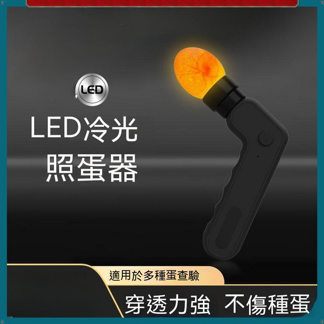 LED冷光照蛋器 孵化驗蛋器 雞鴨鵝鴿子通用 USB充電 握把式手電筒, 照蛋器, 1個