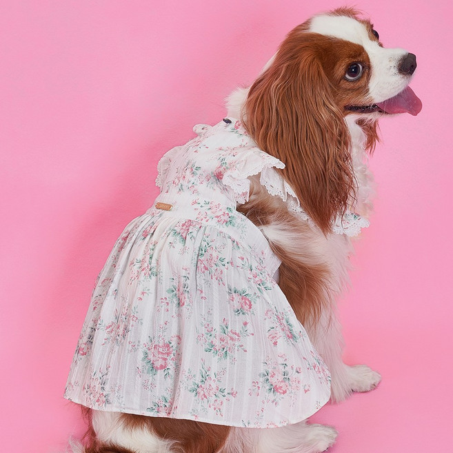 도그아이 강아지 랏셀 원피스, 에메랄드, 1개