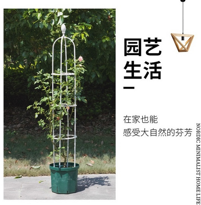 歐式宮廷風簡約玫瑰爬藤花架陽台月季盆栽家用花支架園藝植物室外爬藤架, 1個, U型直徑30cm高180cm（4圈）, 隨機