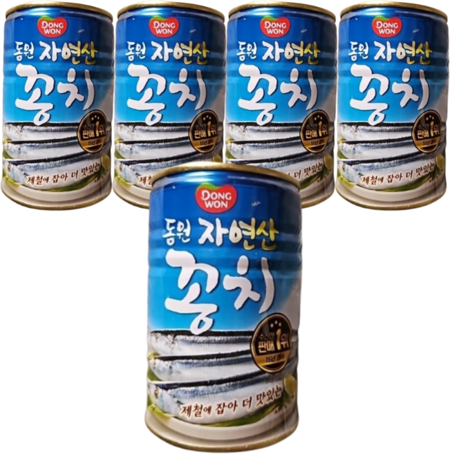 동원 자연산 꽁치, 5개, 300g