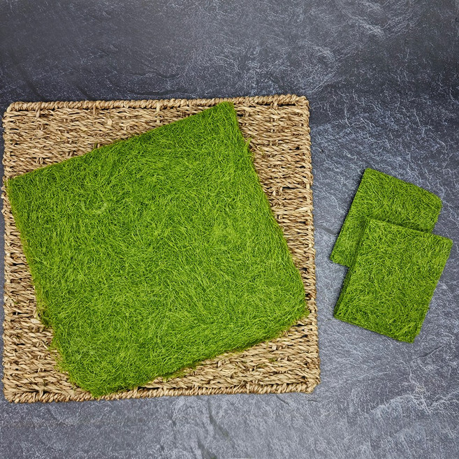 국내산 고급 생 감태, 10장