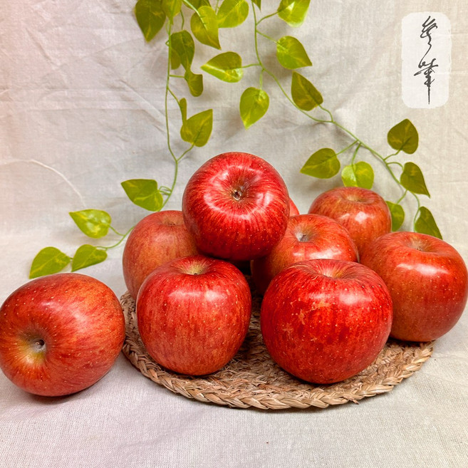 산지직송 경북 고당도 당도선별 햇 부사 꿀 사과 가정용, 1박스, 중(로얄)-중소과 (17-22과) 5kg