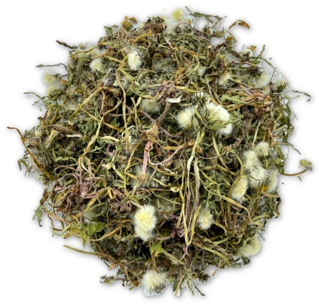 지리산 청정약초 저온건조 노란민들레(포공영)(국내산 자연산) 200g, 1개
