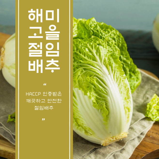 HACCP 인증받은 강원도 절임배추 10kg 20kg / 최서방 절임배추 / 해미고을 절임배추
