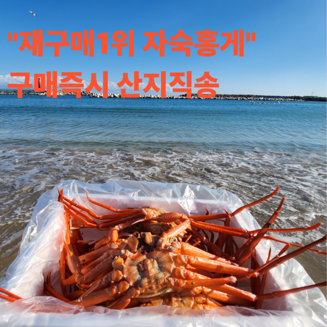 품절대란 재구매1위 자숙홍게 산지직송 특품, 1박스, 4kg