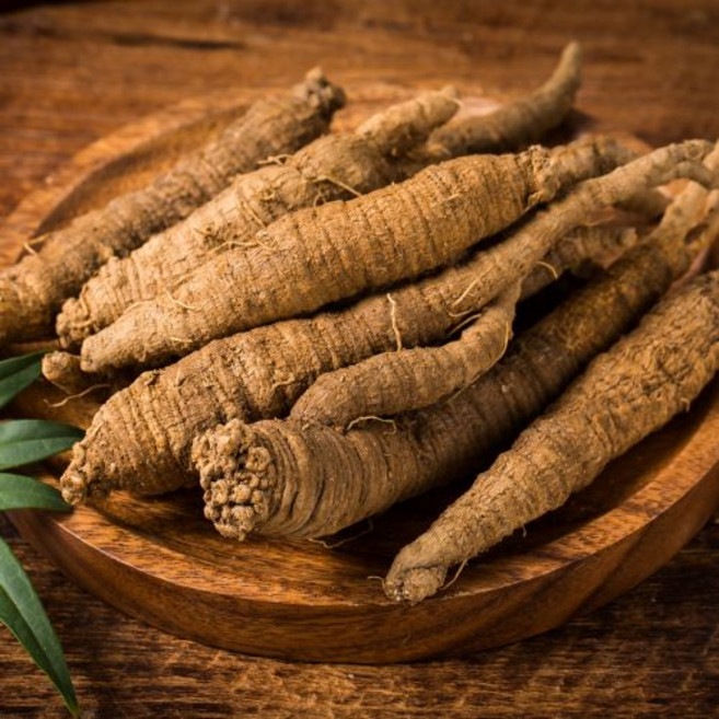 강원도 6년근 산더덕 햇더덕 3년근 식도라지, 1개, 가정용더덕(하품) 1키로(80개 이상)